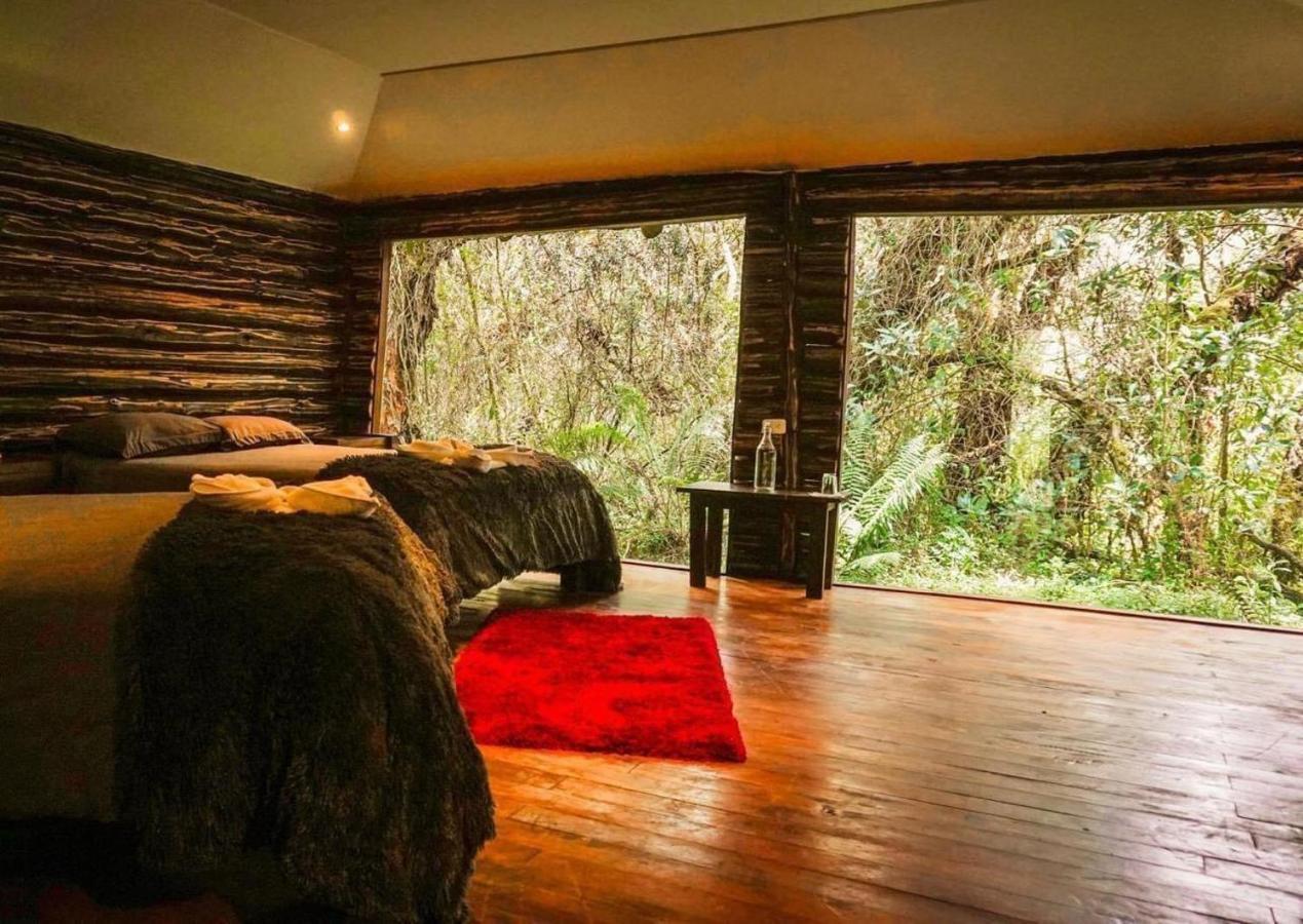 Polylepis Lodge El Angel